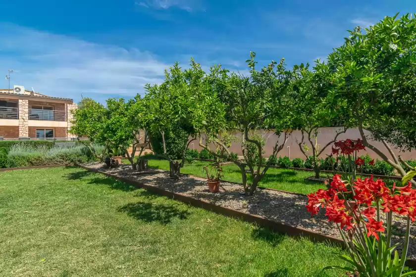 Holiday rentals in Finca castillo, Manacor