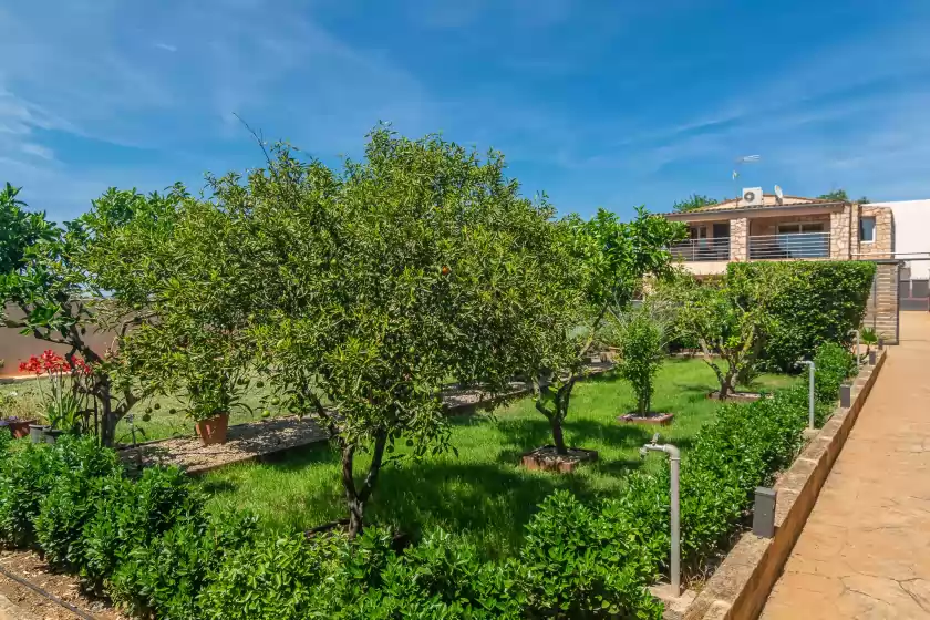 Holiday rentals in Finca castillo, Manacor