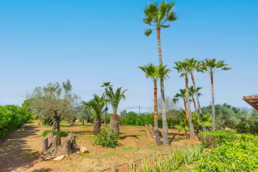 Holiday rentals in Es garroveret, Es Garrovers-Son Daviu Nou-Ses Llegitimes