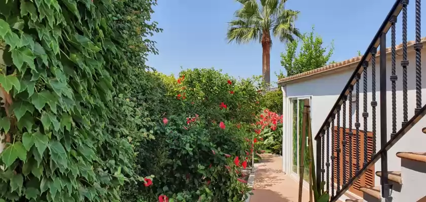 Holiday rentals in Can serra 4 (santa margalida), Santa Margalida