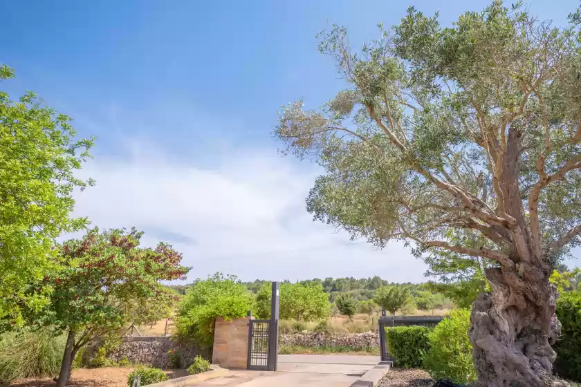 Ferienhaus auf Sa xigala, Algaida