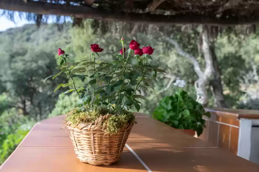 Holiday rentals in Aurora, Gaucín