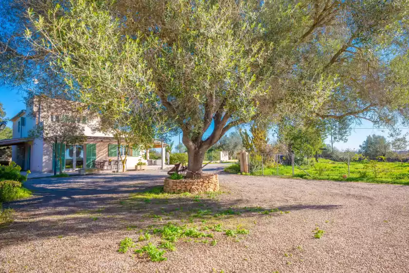 Holiday rentals in Ses set tanques de son fosquet, Llucmajor