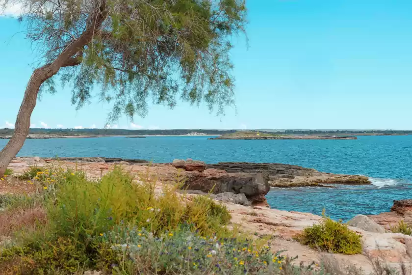 Location de vacances à Marina uno, Colònia de Sant Jordi