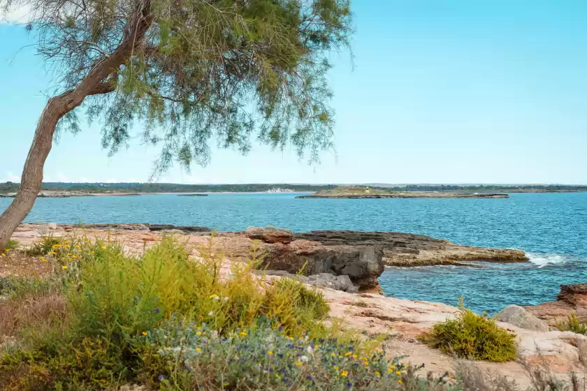 Location de vacances à Marina cero, Colònia de Sant Jordi
