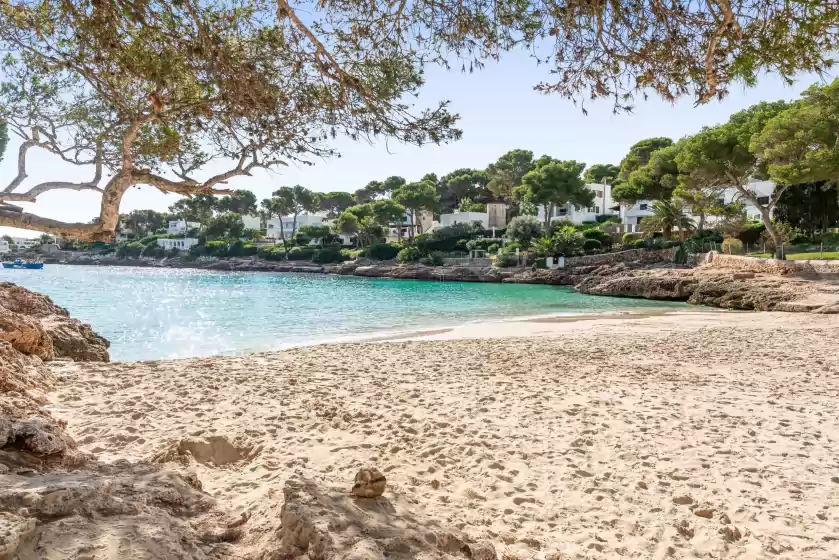 Alquiler vacacional en La ceiba, Cala d'Or