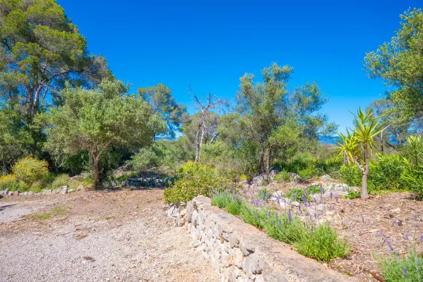 Holiday rentals in Son muntaner, Palma