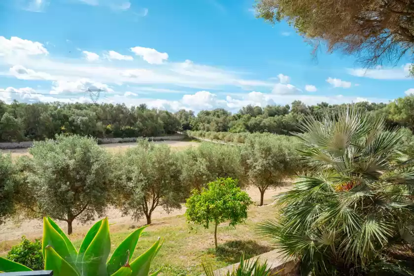 Holiday rentals in Son burguet, Llubí