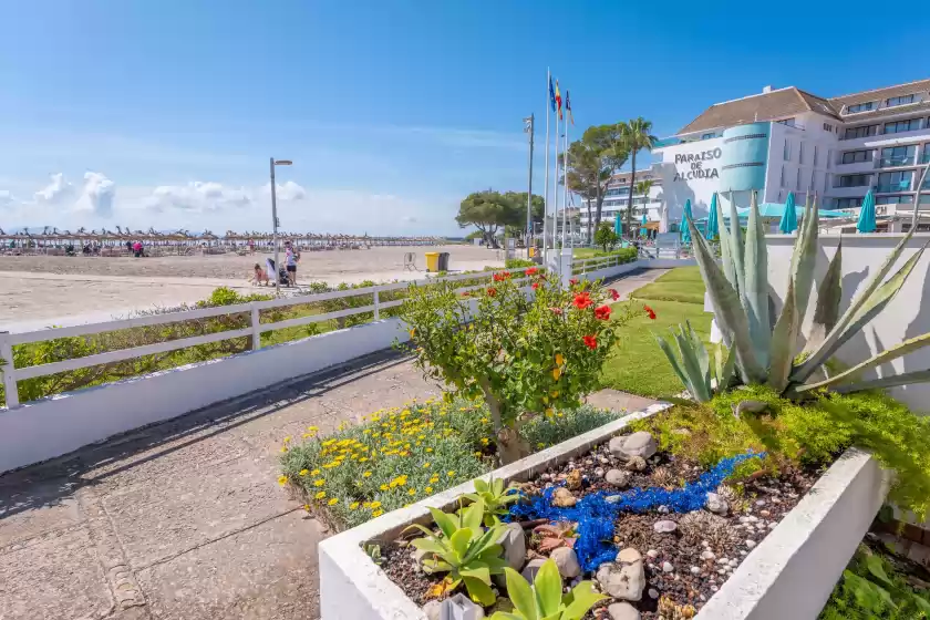 Alquiler vacacional en Casa maris, Port d'Alcúdia