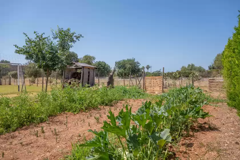 Holiday rentals in Sa tanqueta, Inca