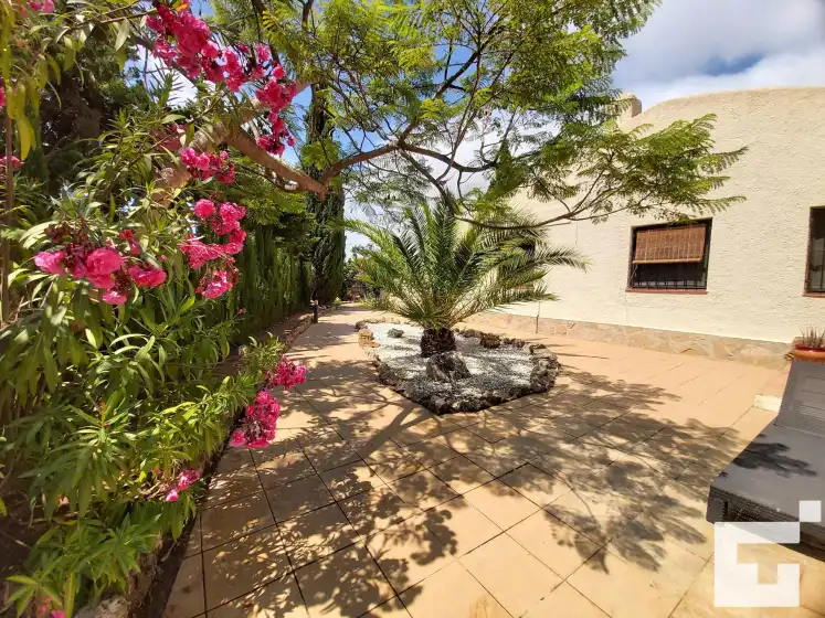 Holiday rentals in Bungalow la merced 34g - grupo turis, Calp