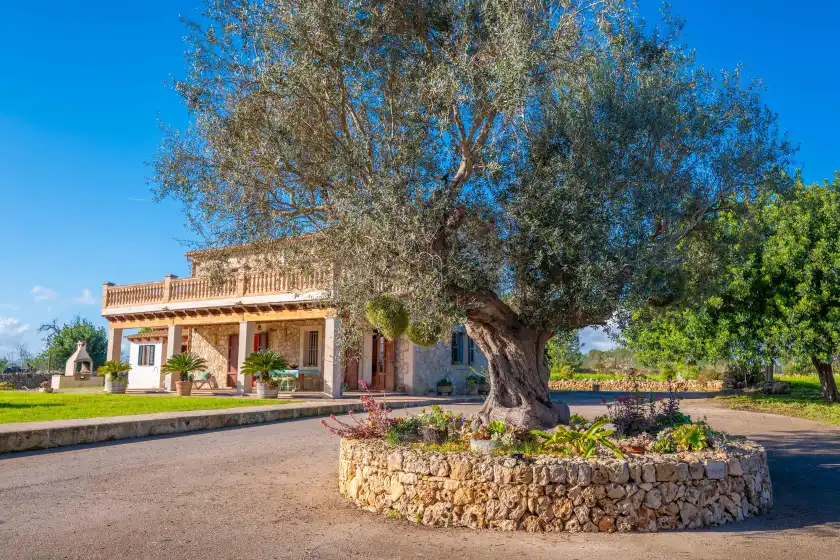 Holiday rentals in Sa torreta de santa margalida, Santa Margalida