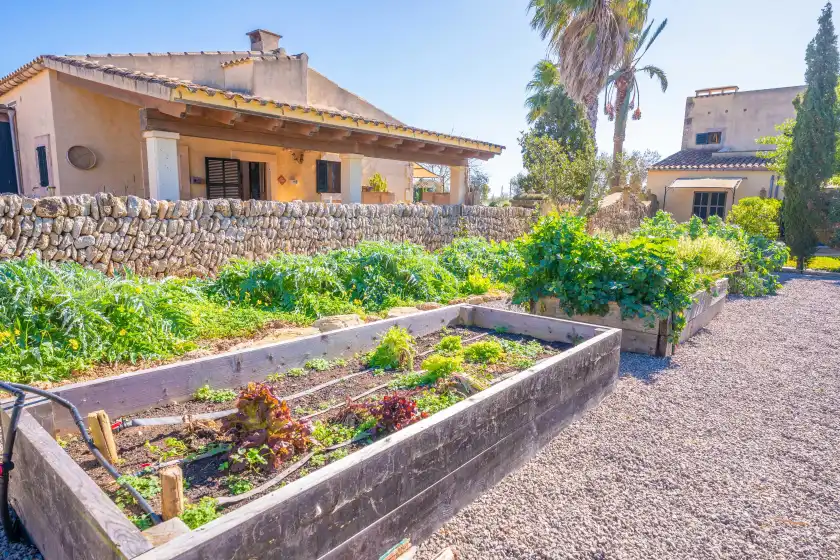 Alquiler vacacional en Agroturismo mondrago (antic na martina), Portopetro