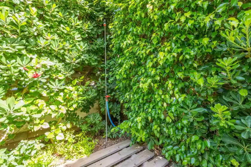 Alquiler vacacional en Tarida, Marina Manresa