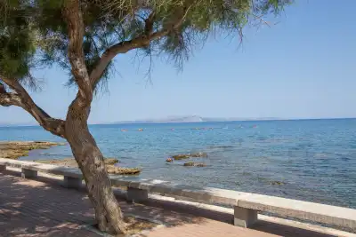 Colònia de Sant Pere, Mallorca