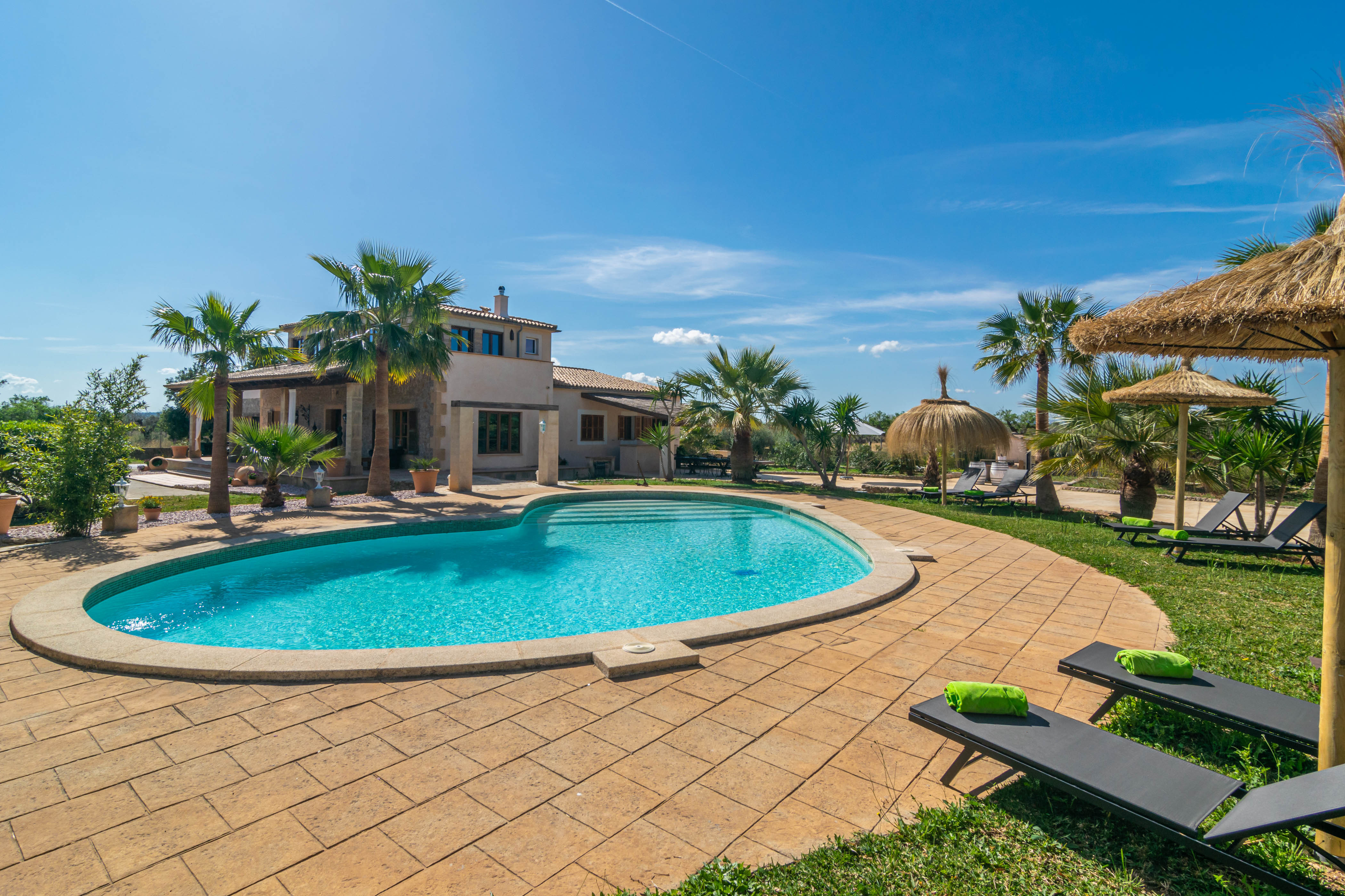 Finca Aria