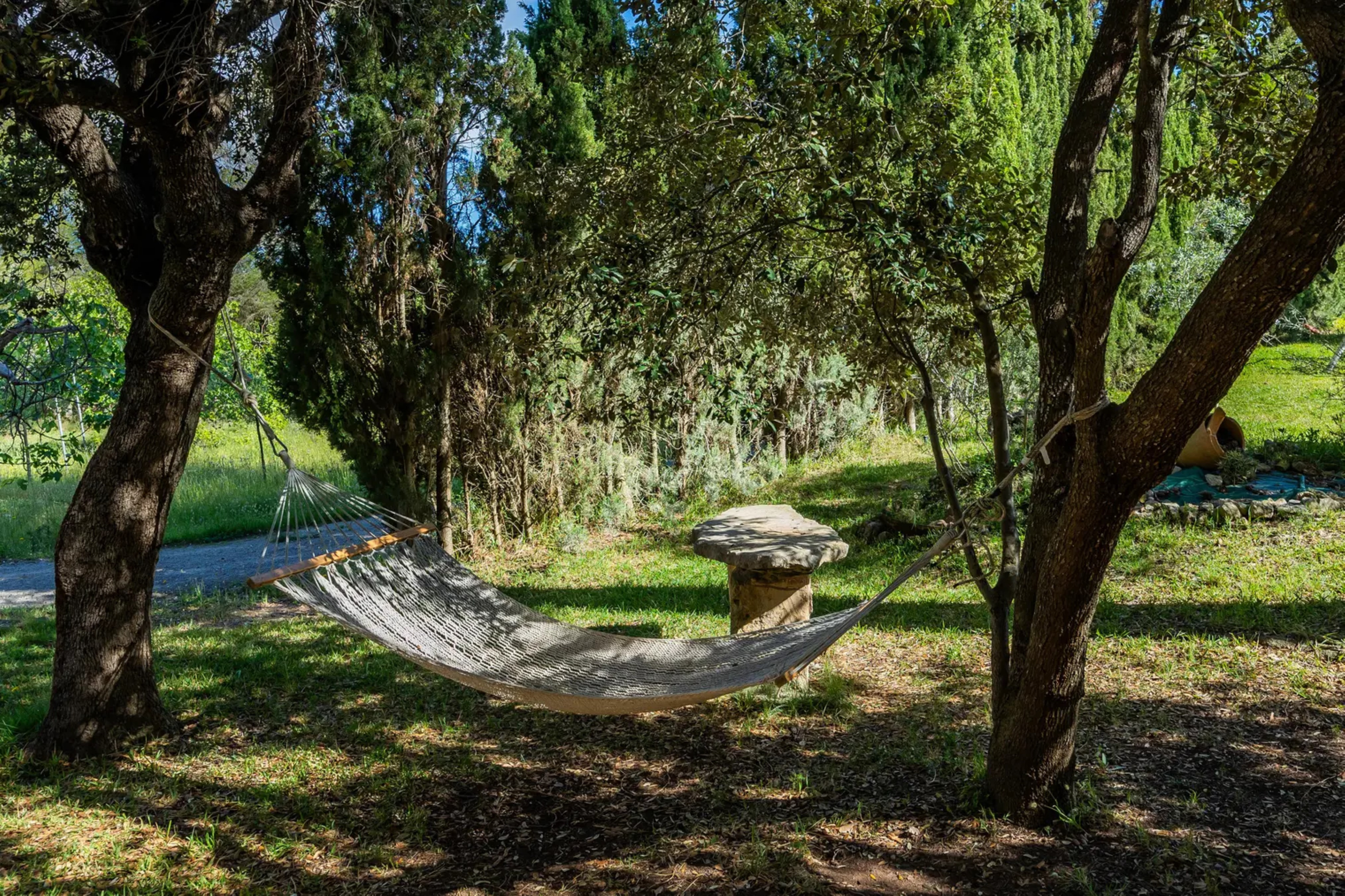 S'hort De Sa Bagura - Es Colomer S'hort De Sa Bagura - Es Colomer