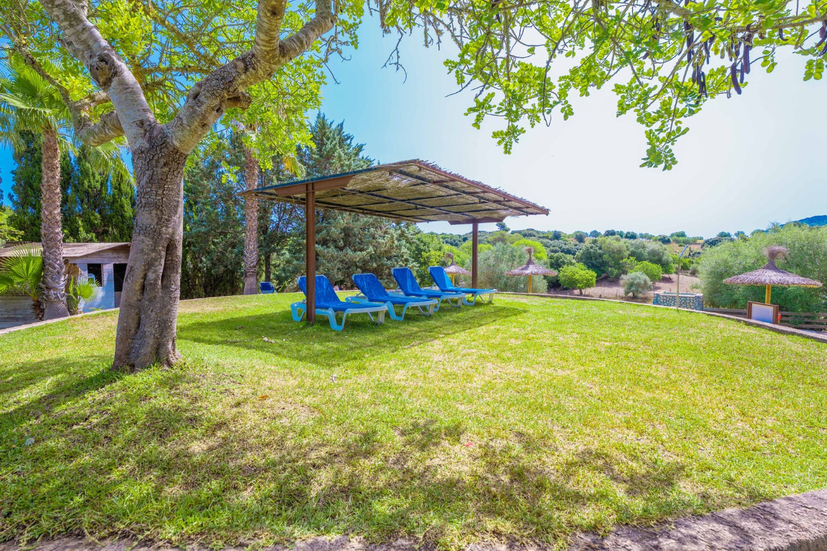 short-de-sa-bagura-2