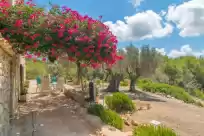 Holiday rentals in Can tiona