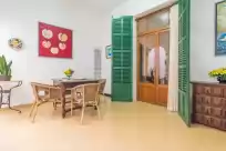 Holiday rentals in Cas general (concepcio)