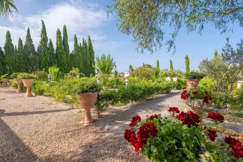 Holiday rentals in Banc doli, Manacor