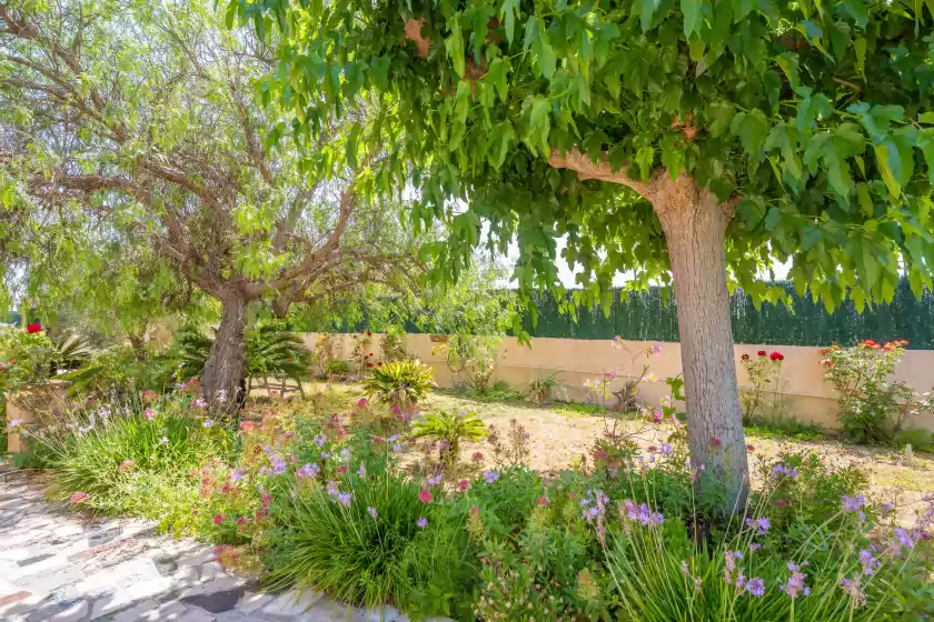 Holiday rentals in Villa fernando, Manacor