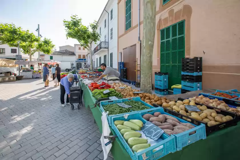 Ferienunterkünfte in Son morey, Vilafranca de Bonany