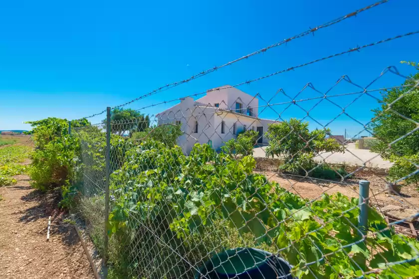 Ferienhaus auf Sa sort llarga, Sa Pobla
