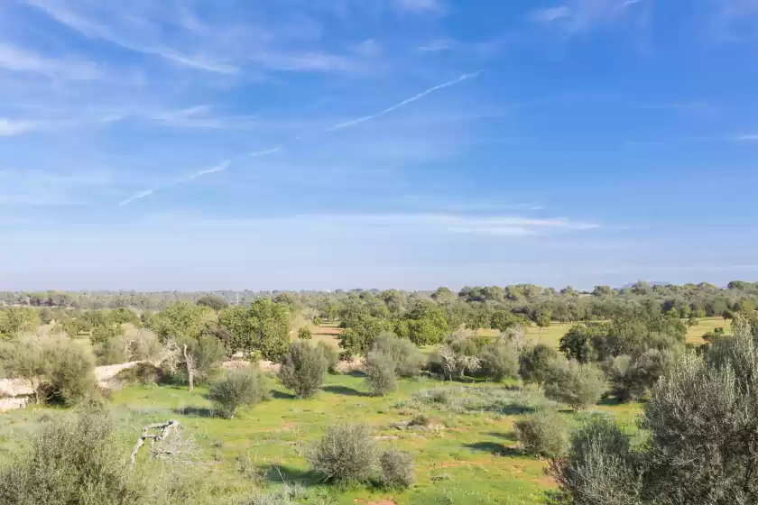 Ferienunterkünfte in Ca na carme, Campos