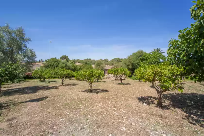 Alquiler vacacional en Son gorrió, Sant Llorenç des Cardassar