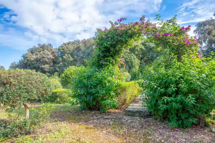 Holiday rentals in Ca na flores, Llubí