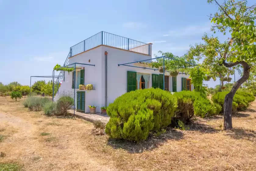 Ferienhaus auf Ses planes (ca na faustina), Selva