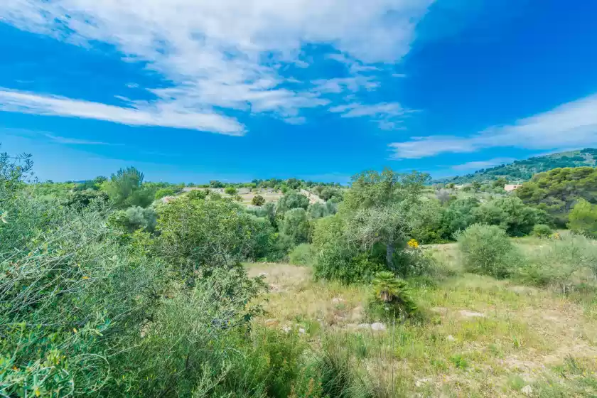 Alquiler vacacional en Can canals, Artà