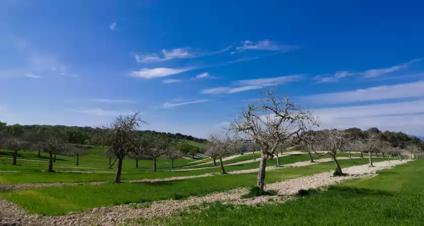 Alquiler vacacional en Son vanrell, Montuïri