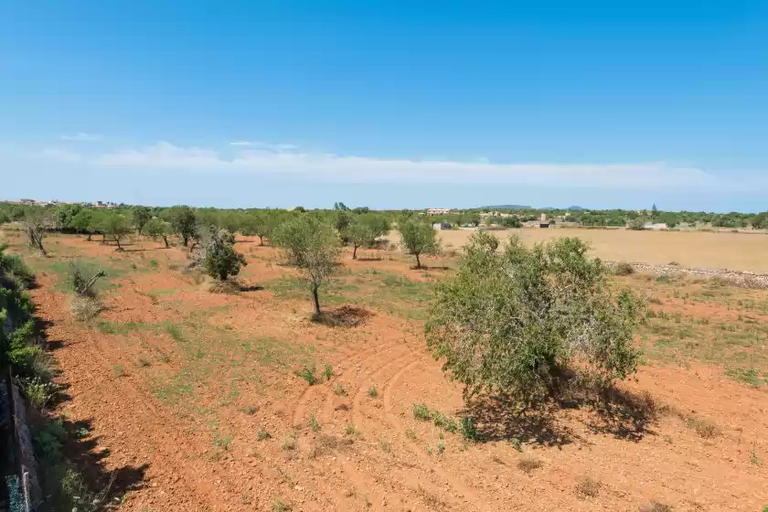 Holiday rentals in Son piris, es Llombards