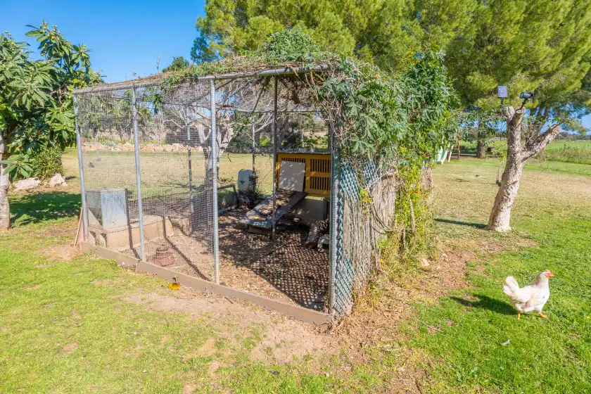 Holiday rentals in Es rafal nostro, Felanitx