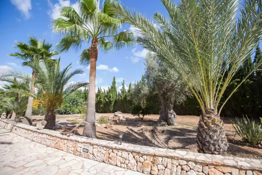 Holiday rentals in Can palleta, Calonge