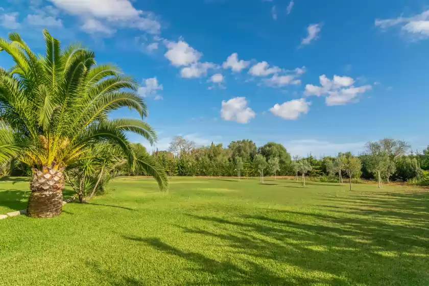 Holiday rentals in Finca palmera, ses Salines