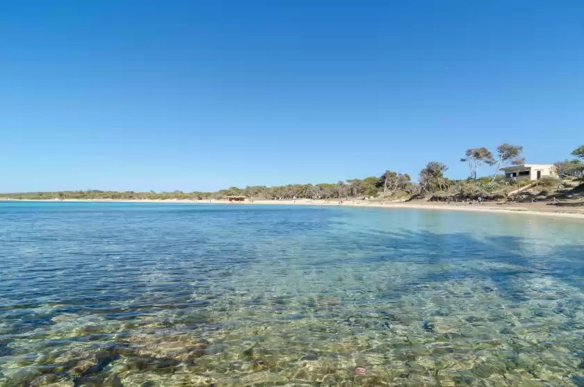 Holiday rentals in Finca palmera, ses Salines