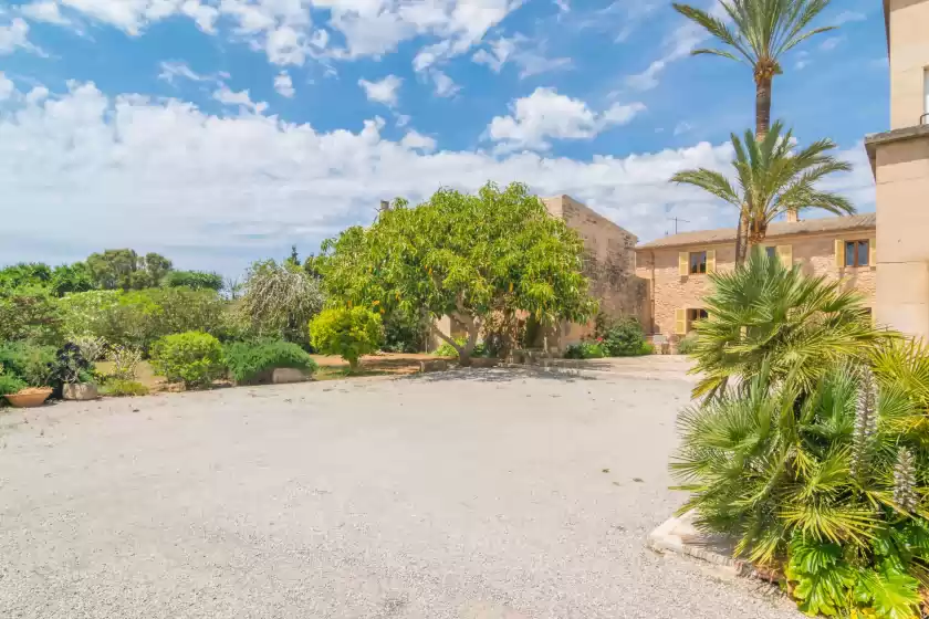 Holiday rentals in Finca palmera, ses Salines