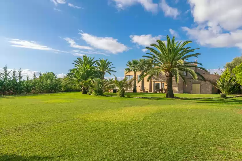Holiday rentals in Finca palmera, ses Salines