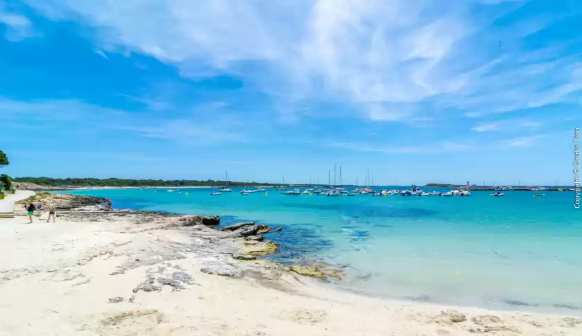 Holiday rentals in Finca palmera, ses Salines