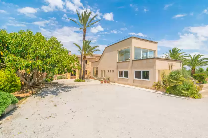 Holiday rentals in Finca palmera, ses Salines