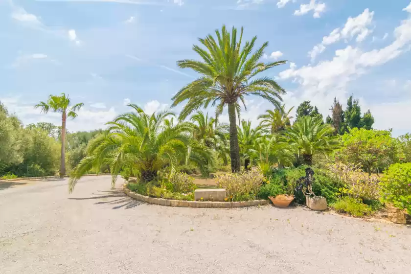 Holiday rentals in Finca palmera, ses Salines