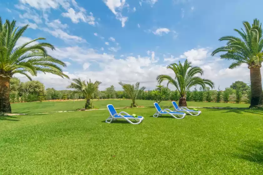 Holiday rentals in Finca palmera, ses Salines