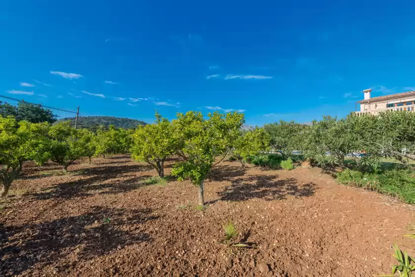 Holiday rentals in Ca'n carabassot, Pollença