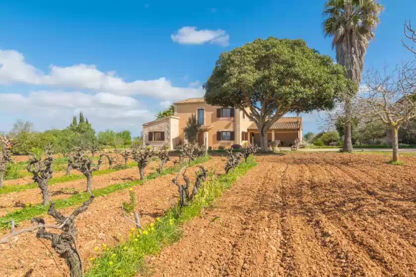 Holiday rentals in Darrere ses vinyes, Algaida