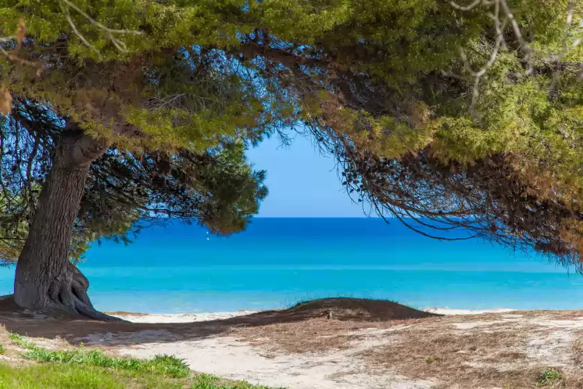 Alquiler vacacional en Violeta de mar, Platja de Muro