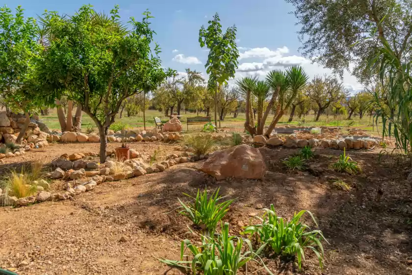 Holiday rentals in Sa caseta (ca n'andreu), Santa María del Camí