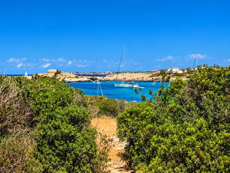Alquiler vacacional en Villa francisca, Santandria